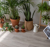 Vinilam Click 3.7мм 20468 Дуб Ален фото 4 | FLOORDEALER